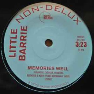 Memories Well / Didn't Mean A Thing - Single