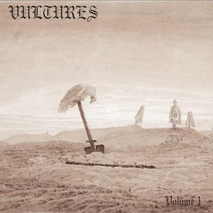 Image for 'Vultures'