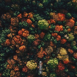 Treetop Dreamers