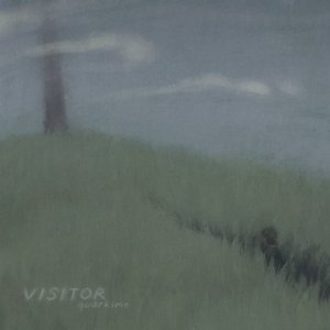 Visitor