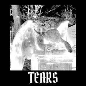 Artwork for Tears