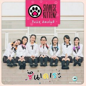 Avatar for Siamese Kittenz
