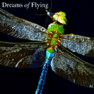 Dreams Of Flying