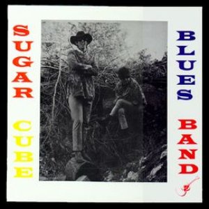 SUGAR CUBE BLUES BAND 的头像