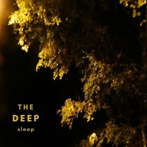 The Deep Sleep