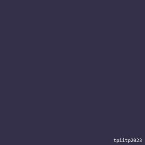 tpiitp2023