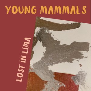 Lost In Lima