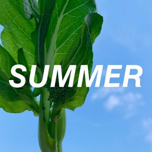 夏日特定 (纯音乐)
