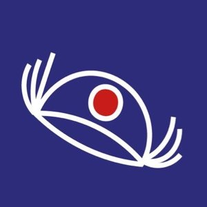 IchIca 的头像