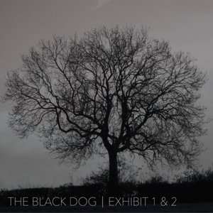 Exhibit 1 & 2 - EP