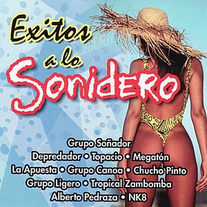 Image pour 'Exitos A La Sonidero'