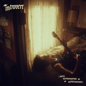 introvert (with extroverted expectations) - Single