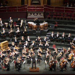 Изображение для 'Royal Philharmonic Orchestra & Jonathan Carney'