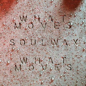 What Moves (Soulwax Remix) - Single