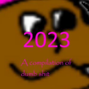 2023 A Compilation of Dumb Shit