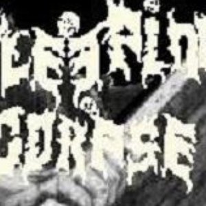 Sleeping Corpse 的头像