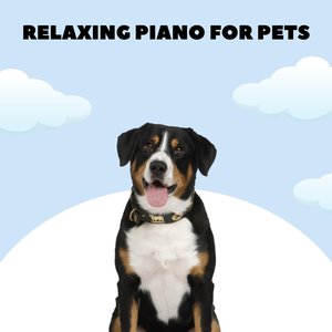 Doggy Lullabies