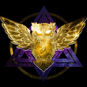 Space Aura Owls 的头像