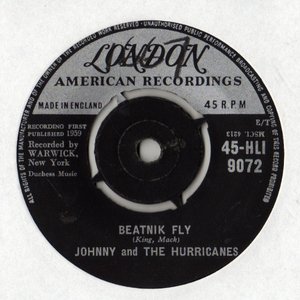 Beatnik Fly