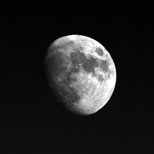 Once in a Moon 的头像