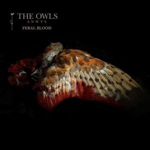 Feral Blood