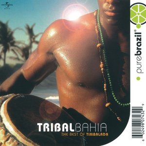 Pure Brazil: The Best of Timbalada