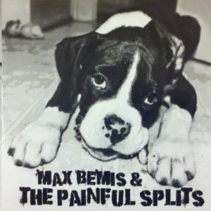 Max Bemis and The Painful Splits