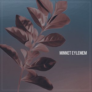 Minnet Eylemem