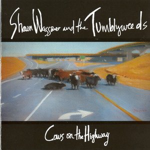 Cows On The Highway