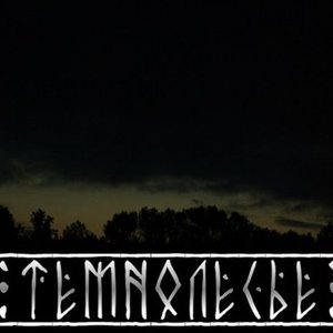 Темнолесье 的头像