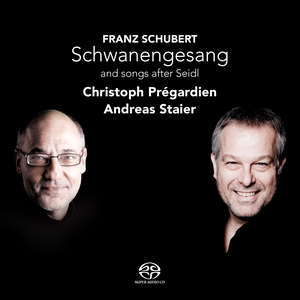 Schwanengesang cover