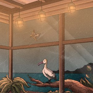Where Birds Fly - Single