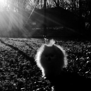 Розовый Ребёнок / Ничья