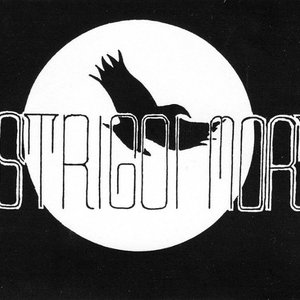 “Strigoi Mort”的封面