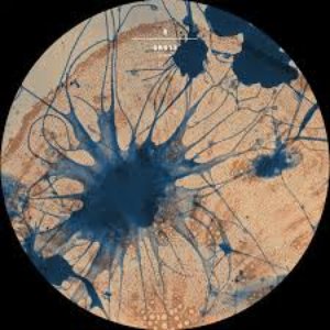 Raising Our Consciousness - EP