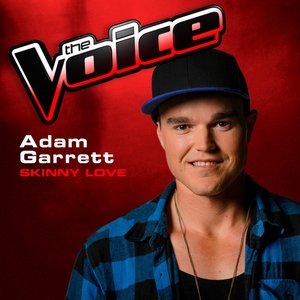 Skinny Love (The Voice 2013 Performance) - Single