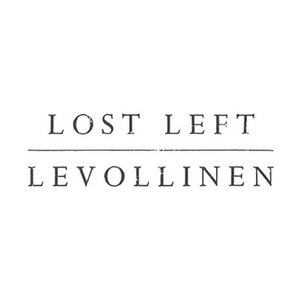 Levollinen