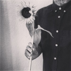 Carrion Sunflower 的头像