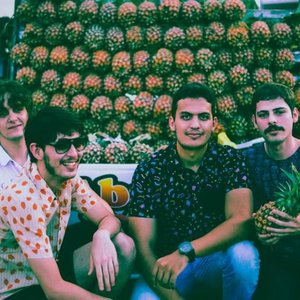 Peixes Entrópicos 的头像