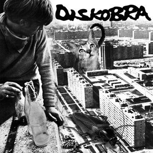 Diskobra