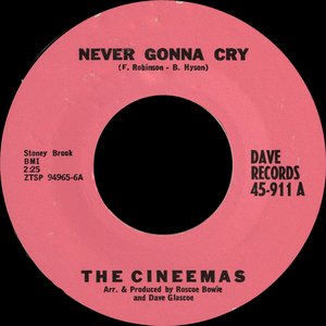 Never Gonna Cry / A Crush On You