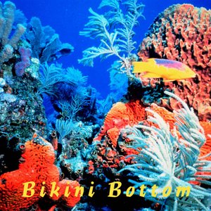 Изображение для 'Bikini Bottom'