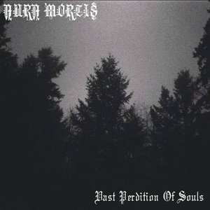 Vast Perdition Of Souls