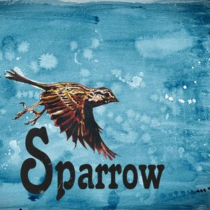 Sparrow