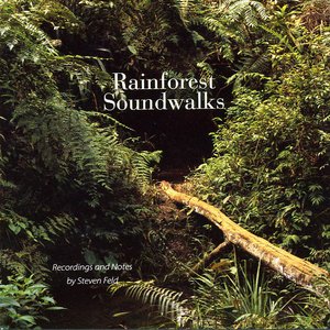 Rainforest Soundwalks