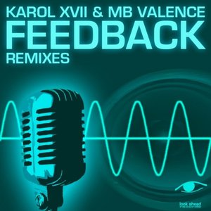 Feedback (Remixes)