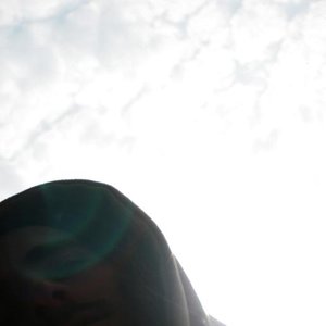 Avatar for Istituzioni Ambienti Naturalismo