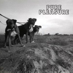 Pure Pleasure