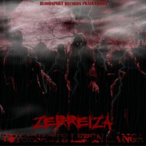 Zerreiza 的头像