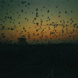 Portico (feat. Yusuf Ahmed, Idris Rahman, Tamar Osborn & Jihad Darwish) - EP